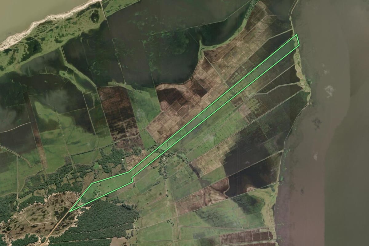 Imagem de satélite do imóvel rural em Mostardas (RS), com o contorno declarado no CAR desenhado por cima.