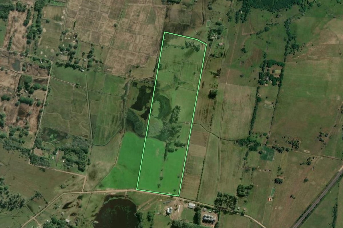 Imagem de satélite do imóvel rural em Mostardas (RS), com o contorno declarado no CAR desenhado por cima.