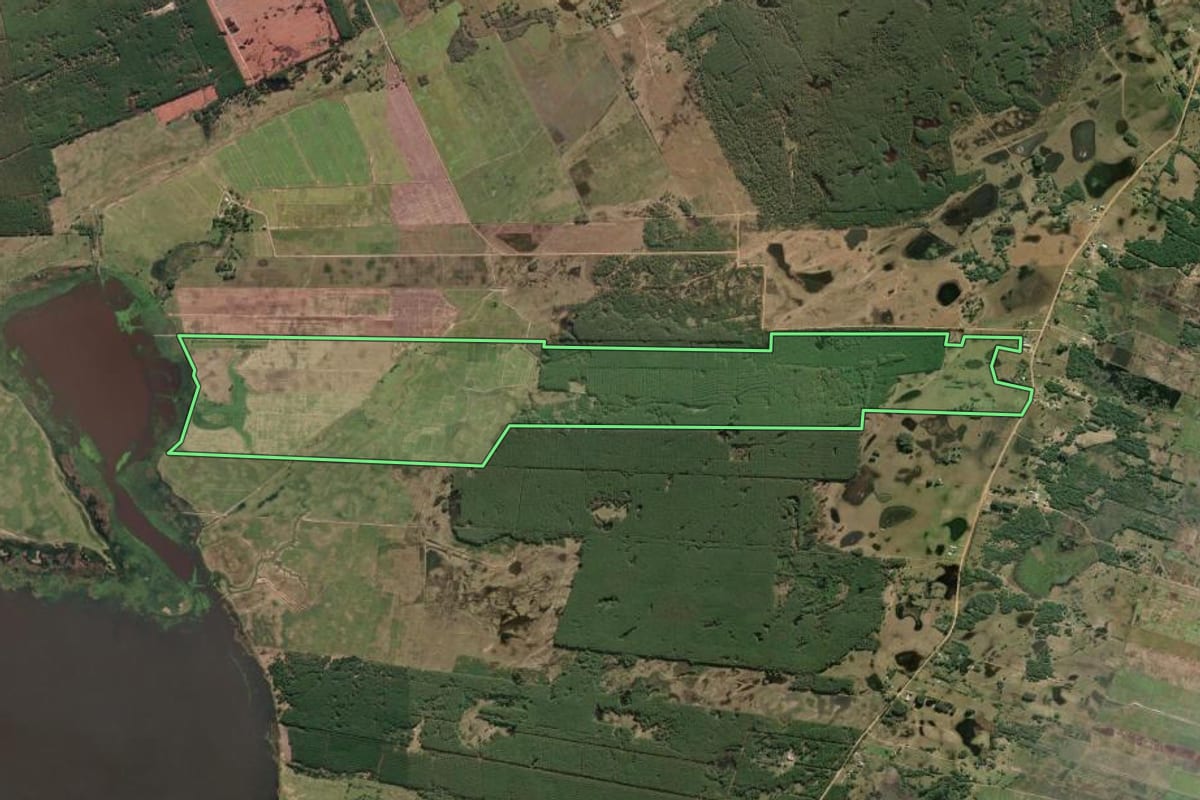 Imagem de satélite do imóvel rural em Mostardas (RS), com o contorno declarado no CAR desenhado por cima.
