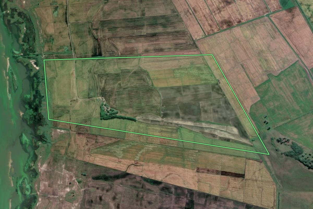Imagem de satélite do imóvel rural em Mostardas (RS), com o contorno declarado no CAR desenhado por cima.