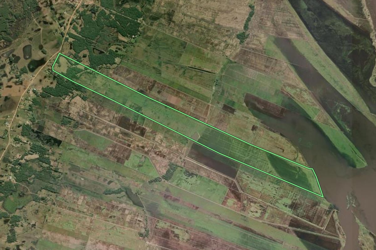 Imagem de satélite do imóvel rural em Mostardas (RS), com o contorno declarado no CAR desenhado por cima.