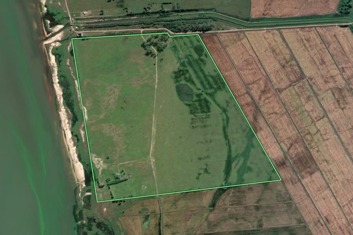 Imagem de satélite do imóvel rural em Mostardas (RS), com o contorno declarado no CAR desenhado por cima.