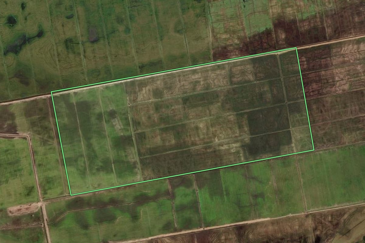 Imagem de satélite do imóvel rural em Mostardas (RS), com o contorno declarado no CAR desenhado por cima.