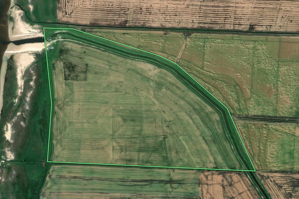 Imagem de satélite do imóvel rural em Mostardas (RS), com o contorno declarado no CAR desenhado por cima.