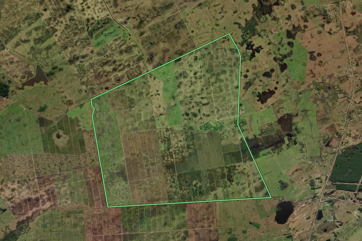 Imagem de satélite do imóvel rural em Mostardas (RS), com o contorno declarado no CAR desenhado por cima.