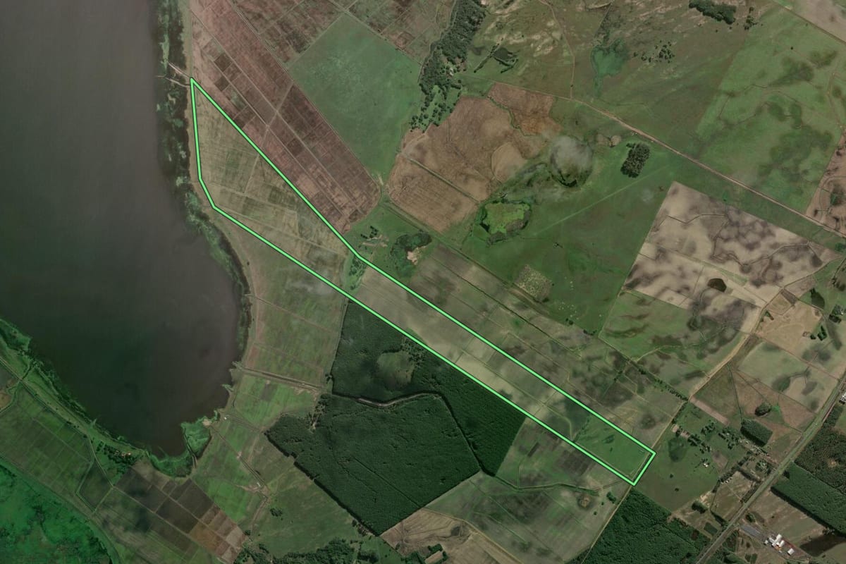 Imagem de satélite do imóvel rural em Mostardas (RS), com o contorno declarado no CAR desenhado por cima.