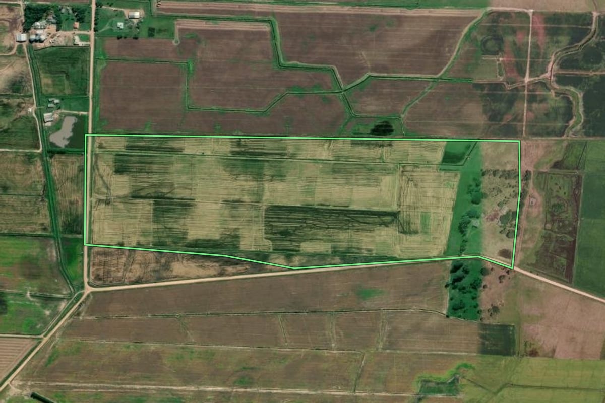 Imagem de satélite do imóvel rural em Mostardas (RS), com o contorno declarado no CAR desenhado por cima.