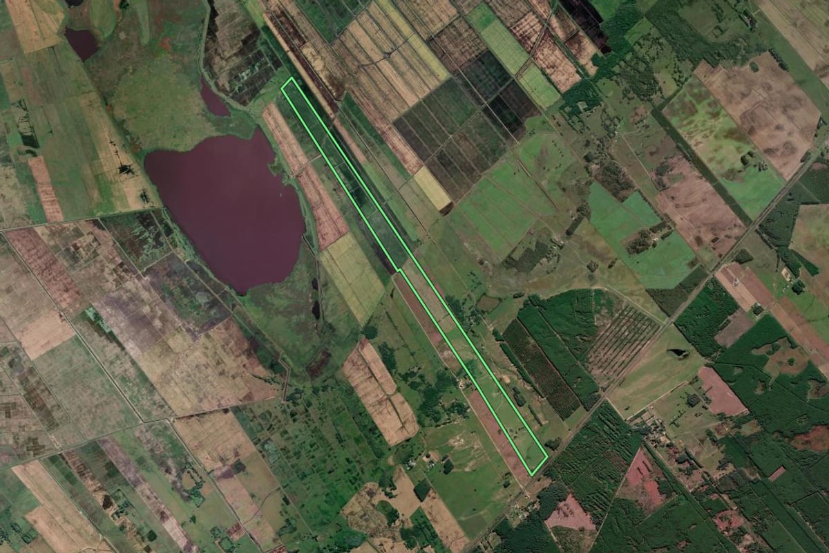 Imagem de satélite do imóvel rural em Mostardas (RS), com o contorno declarado no CAR desenhado por cima.