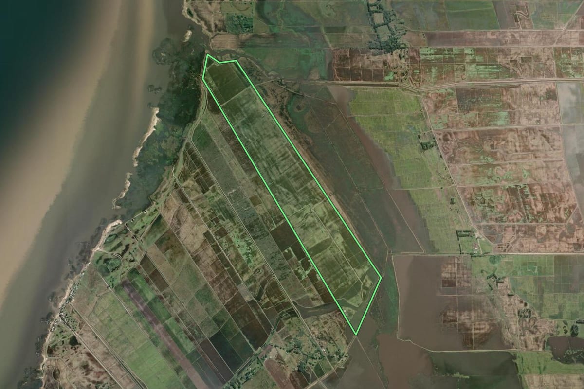 Imagem de satélite do imóvel rural em Mostardas (RS), com o contorno declarado no CAR desenhado por cima.