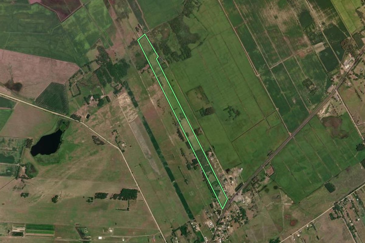 Imagem de satélite do imóvel rural em Mostardas (RS), com o contorno declarado no CAR desenhado por cima.