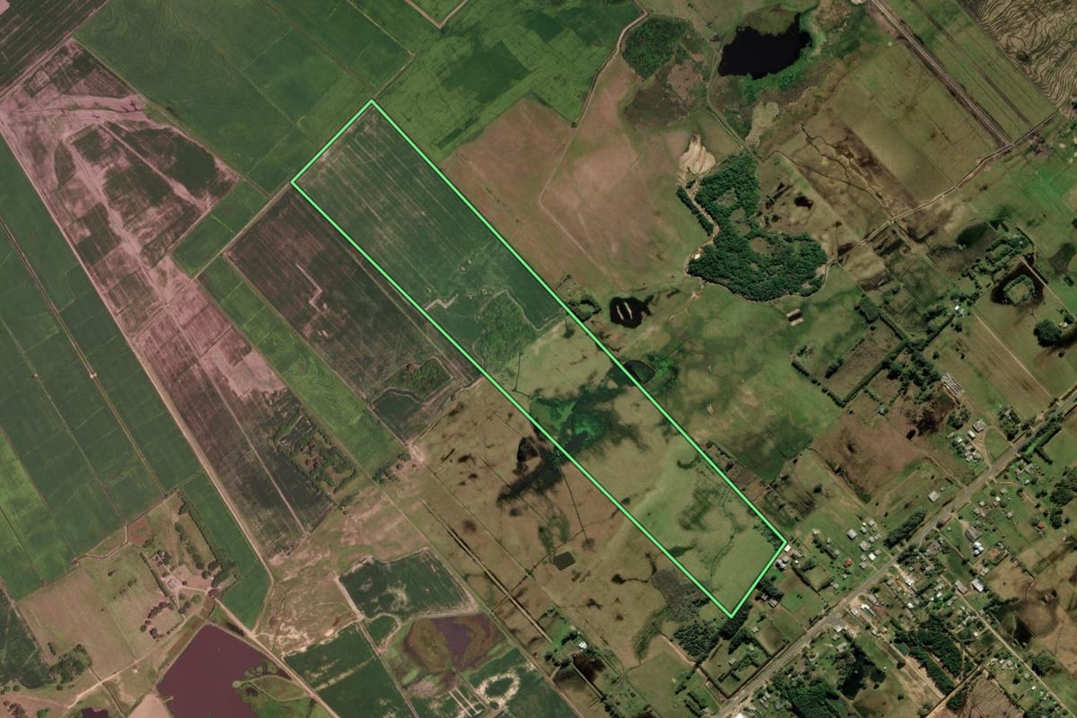 Imagem de satélite do imóvel rural em Mostardas (RS), com o contorno declarado no CAR desenhado por cima.