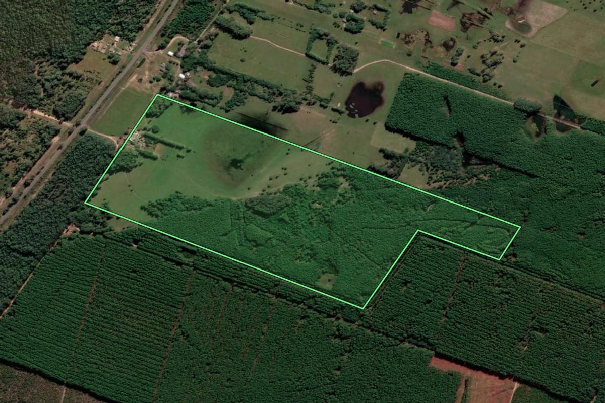 Imagem de satélite do imóvel rural em Mostardas (RS), com o contorno declarado no CAR desenhado por cima.