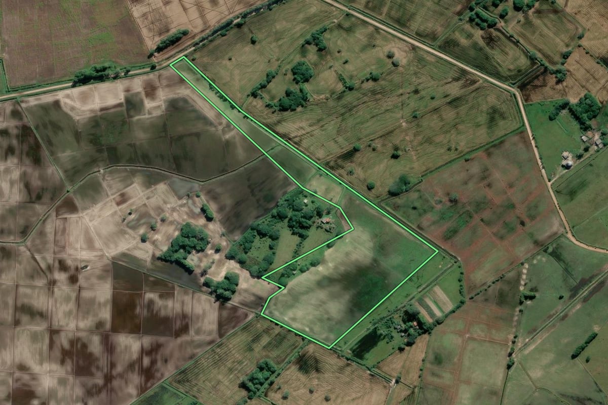 Imagem de satélite do imóvel rural em Mostardas (RS), com o contorno declarado no CAR desenhado por cima.