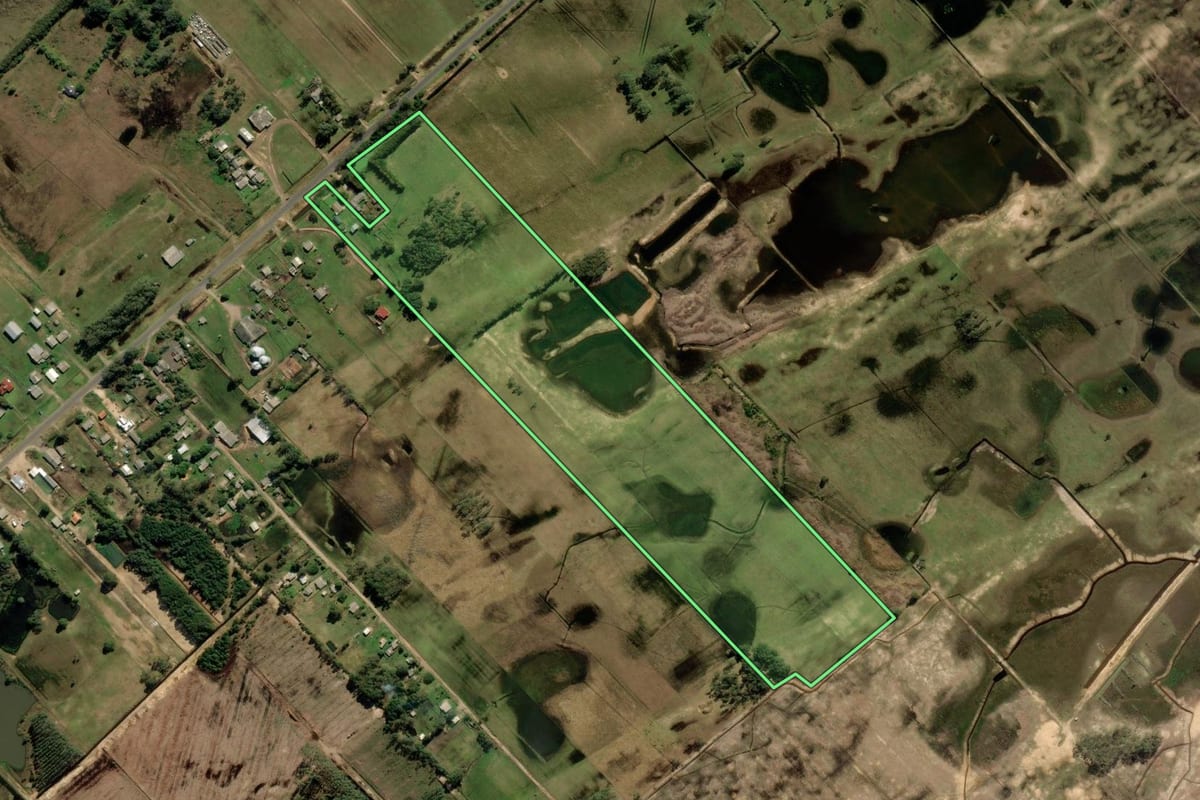 Imagem de satélite do imóvel rural em Mostardas (RS), com o contorno declarado no CAR desenhado por cima.