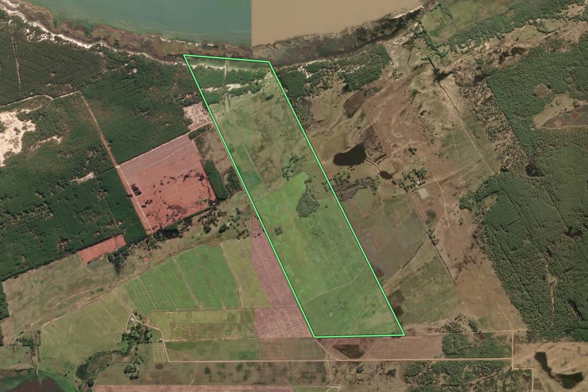 Imagem de satélite do imóvel rural em Mostardas (RS), com o contorno declarado no CAR desenhado por cima.