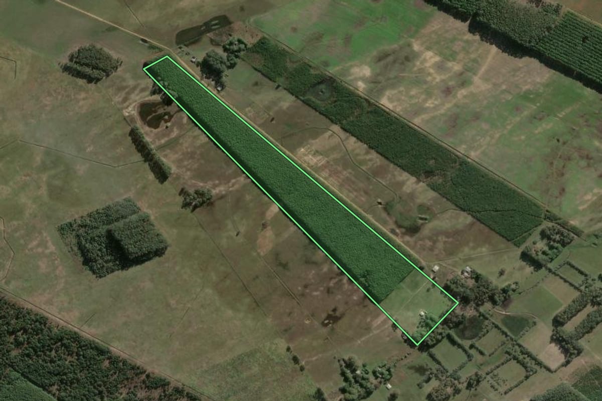 Imagem de satélite do imóvel rural em Mostardas (RS), com o contorno declarado no CAR desenhado por cima.