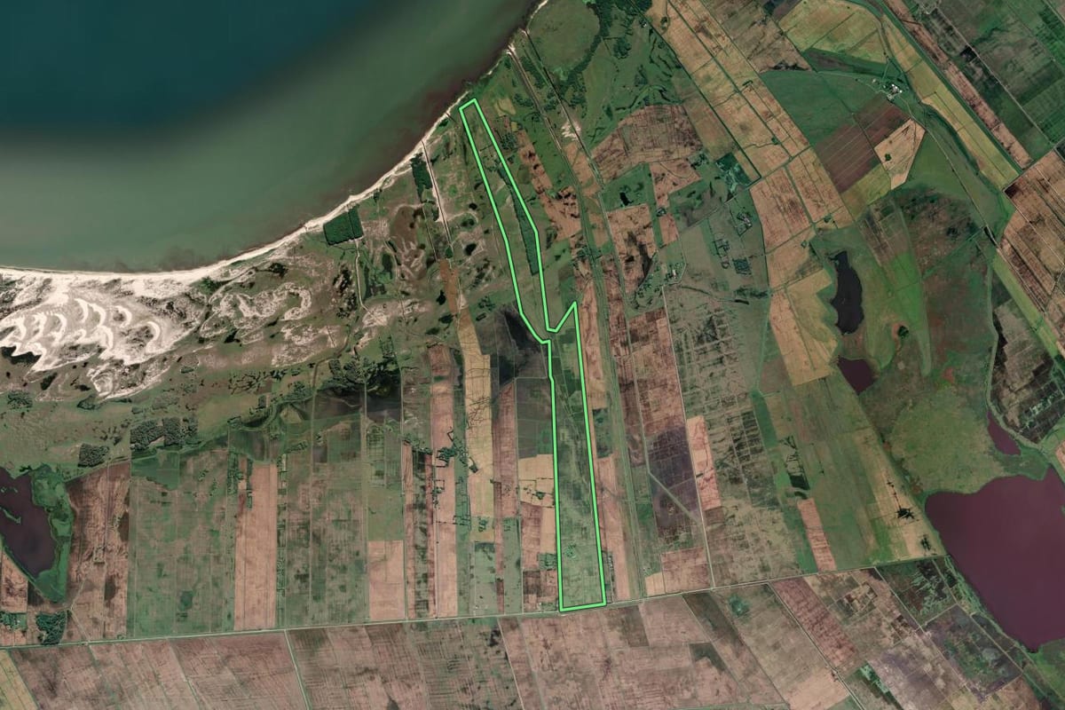 Imagem de satélite do imóvel rural em Mostardas (RS), com o contorno declarado no CAR desenhado por cima.