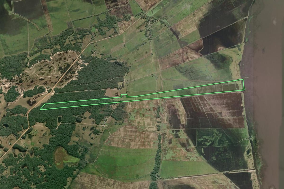 Imagem de satélite do imóvel rural em Mostardas (RS), com o contorno declarado no CAR desenhado por cima.
