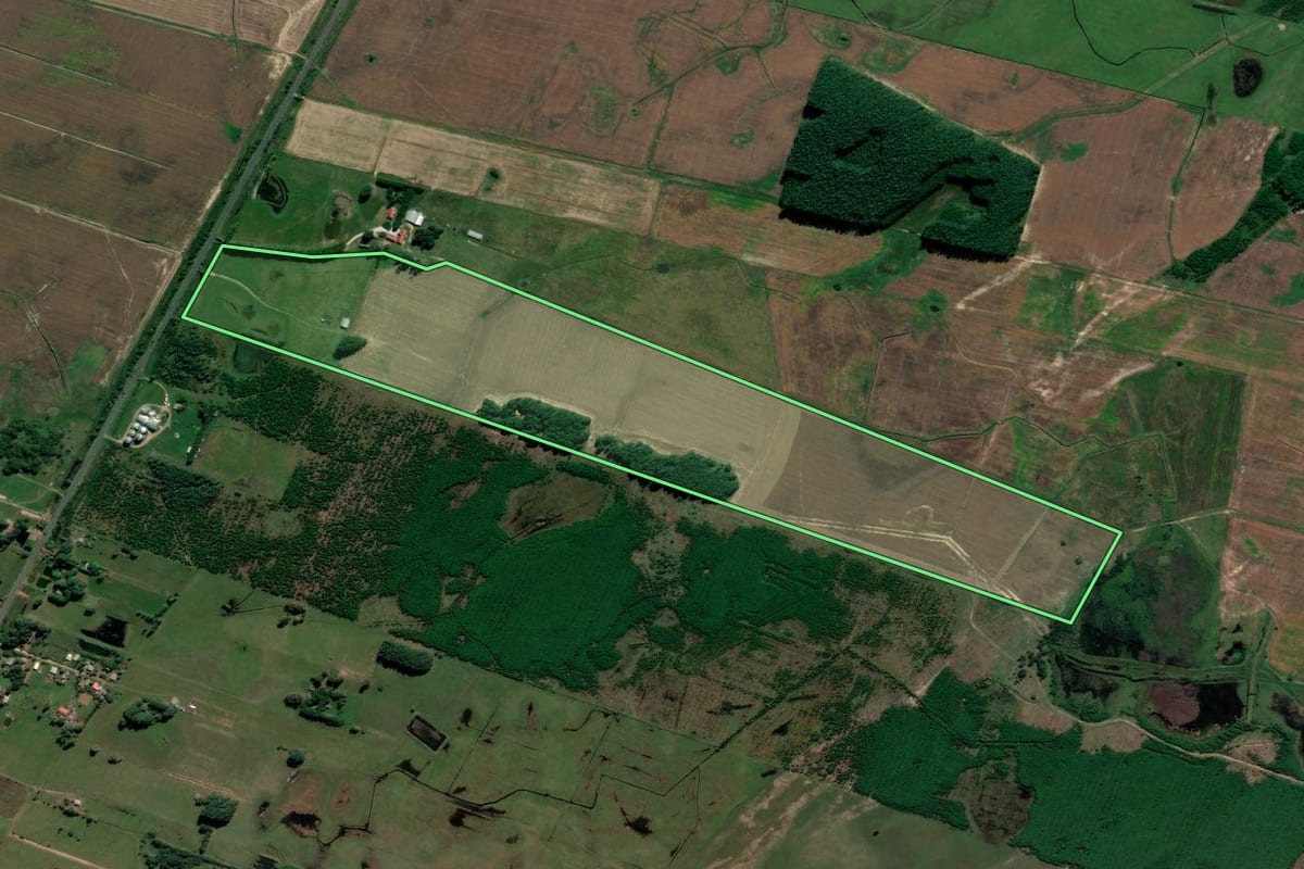 Imagem de satélite do imóvel rural em Mostardas (RS), com o contorno declarado no CAR desenhado por cima.