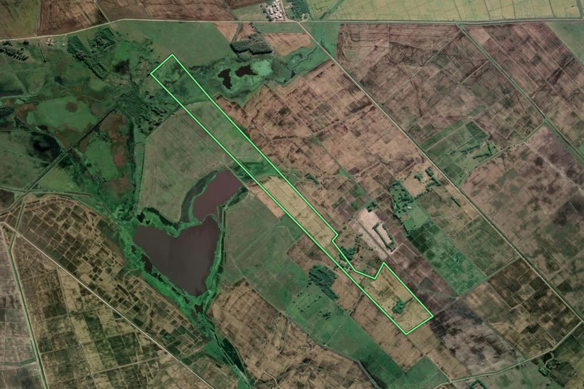 Imagem de satélite do imóvel rural em Mostardas (RS), com o contorno declarado no CAR desenhado por cima.
