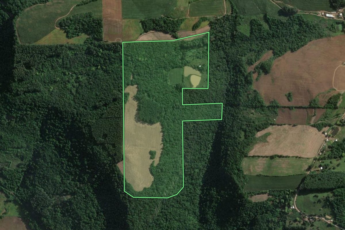 Imagem de satélite do imóvel rural em Muçum (RS), com o contorno declarado no CAR desenhado por cima.