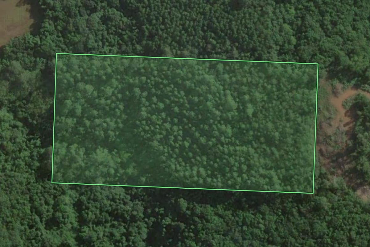Imagem de satélite do imóvel rural em Muçum (RS), com o contorno declarado no CAR desenhado por cima.