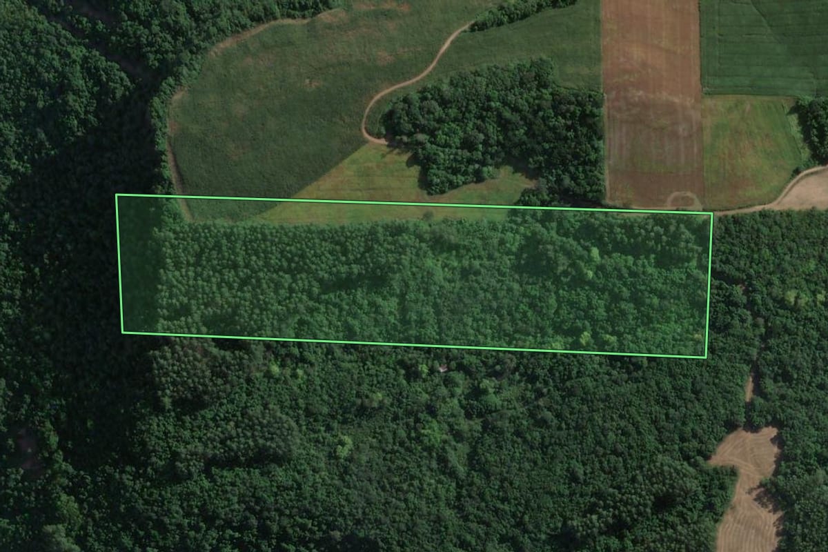 Imagem de satélite do imóvel rural em Muçum (RS), com o contorno declarado no CAR desenhado por cima.