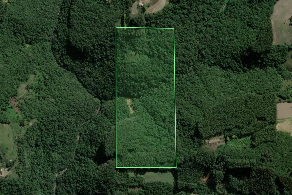 Imagem de satélite do imóvel rural em Muçum (RS), com o contorno declarado no CAR desenhado por cima.