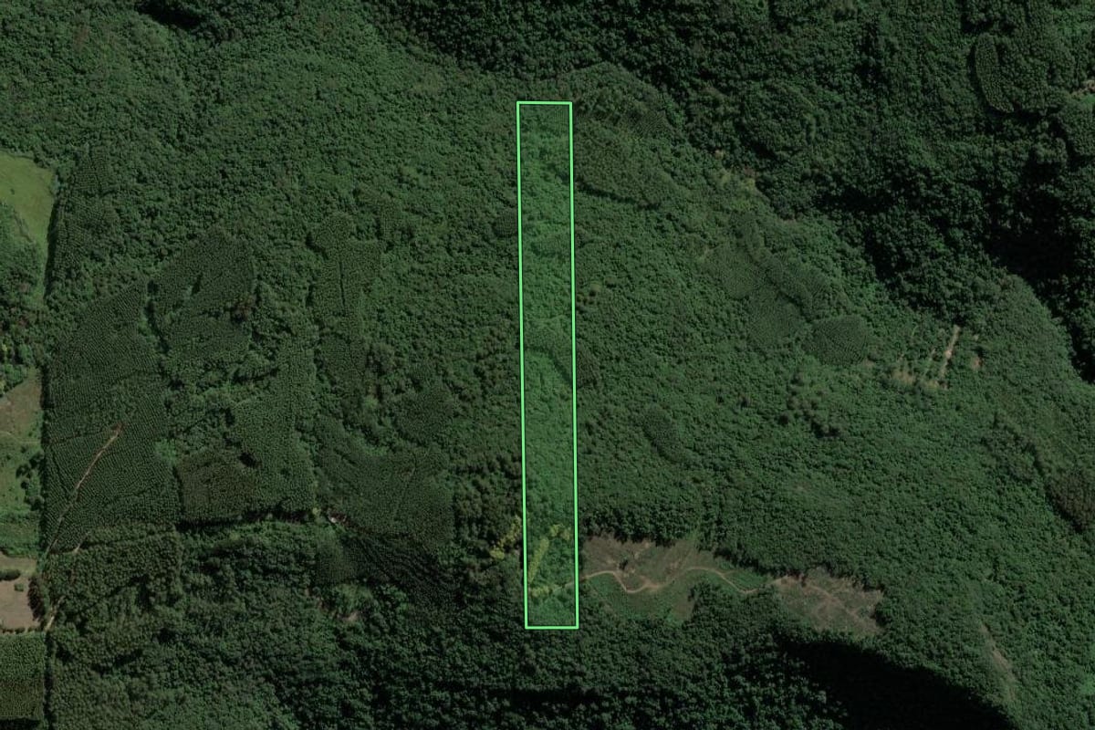 Imagem de satélite do imóvel rural em Muçum (RS), com o contorno declarado no CAR desenhado por cima.