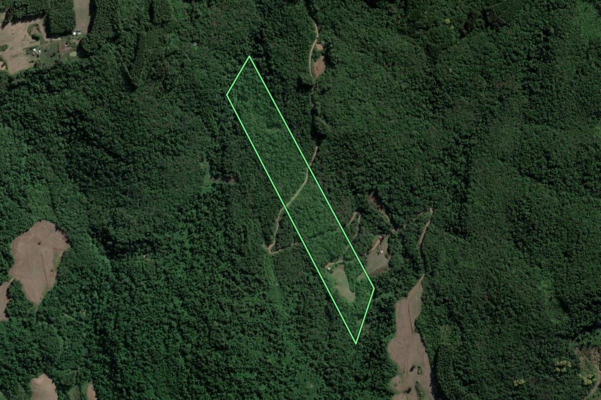 Imagem de satélite do imóvel rural em Muçum (RS), com o contorno declarado no CAR desenhado por cima.
