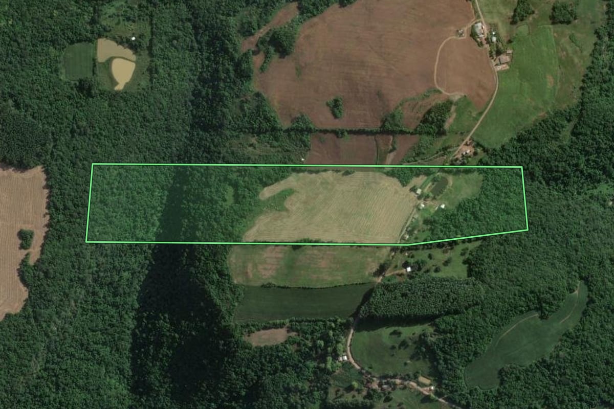 Imagem de satélite do imóvel rural em Muçum (RS), com o contorno declarado no CAR desenhado por cima.