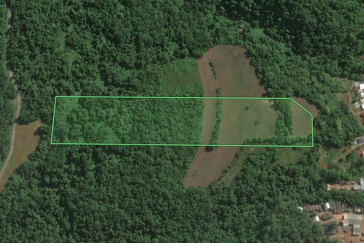 Imagem de satélite do imóvel rural em Muçum (RS), com o contorno declarado no CAR desenhado por cima.