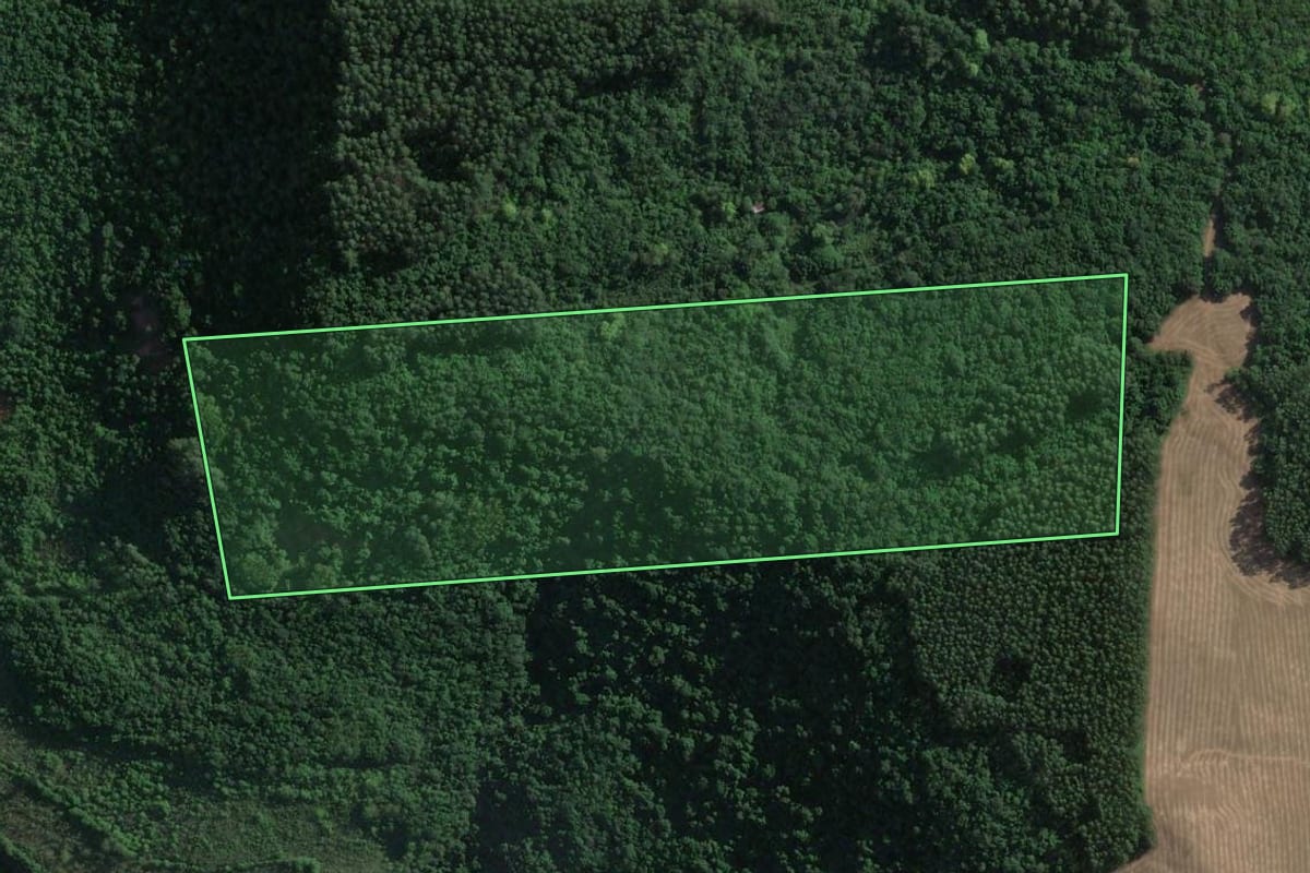 Imagem de satélite do imóvel rural em Muçum (RS), com o contorno declarado no CAR desenhado por cima.