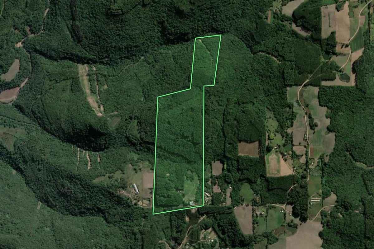 Imagem de satélite do imóvel rural em Muçum (RS), com o contorno declarado no CAR desenhado por cima.