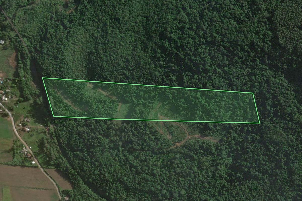 Imagem de satélite do imóvel rural em Muçum (RS), com o contorno declarado no CAR desenhado por cima.