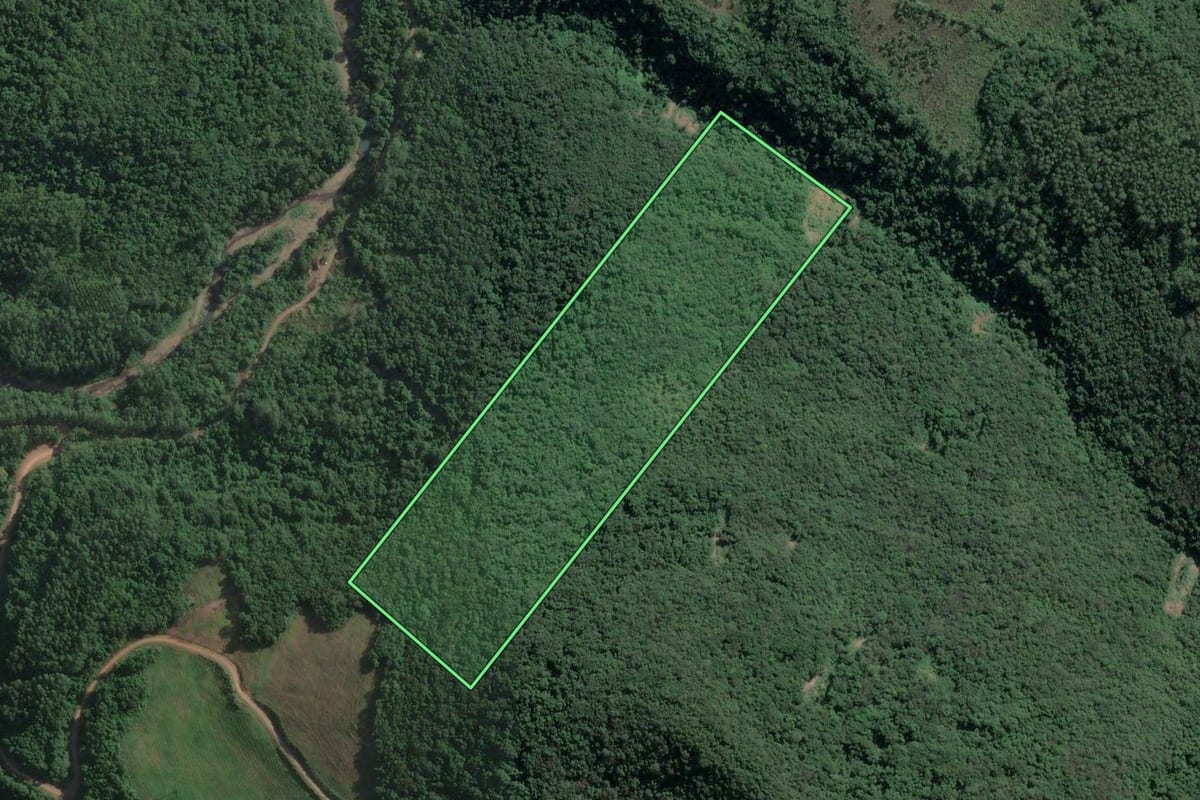 Imagem de satélite do imóvel rural em Muçum (RS), com o contorno declarado no CAR desenhado por cima.