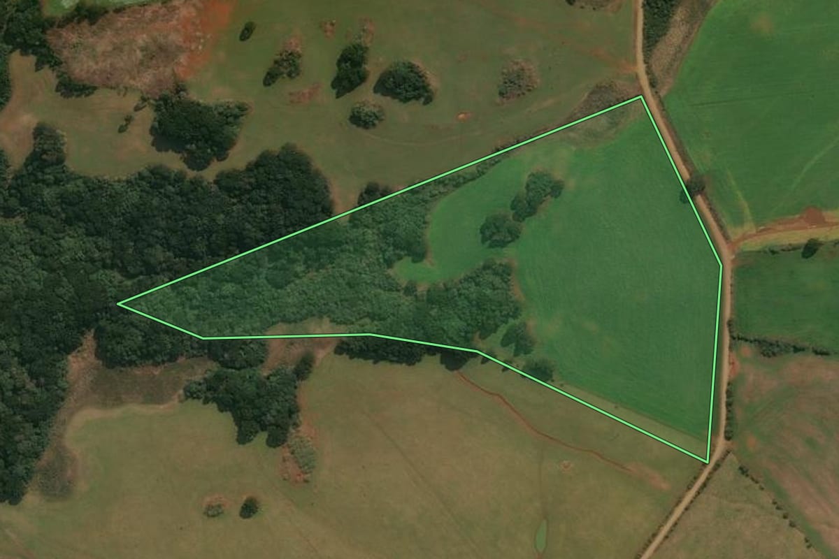Imagem de satélite do imóvel rural em Muitos Capões (RS), com o contorno declarado no CAR desenhado por cima.