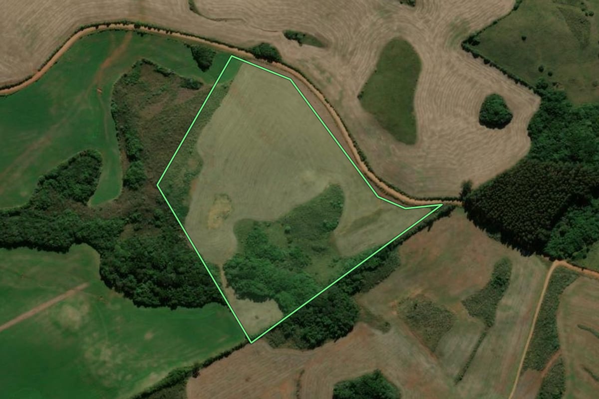 Imagem de satélite do imóvel rural em Muitos Capões (RS), com o contorno declarado no CAR desenhado por cima.