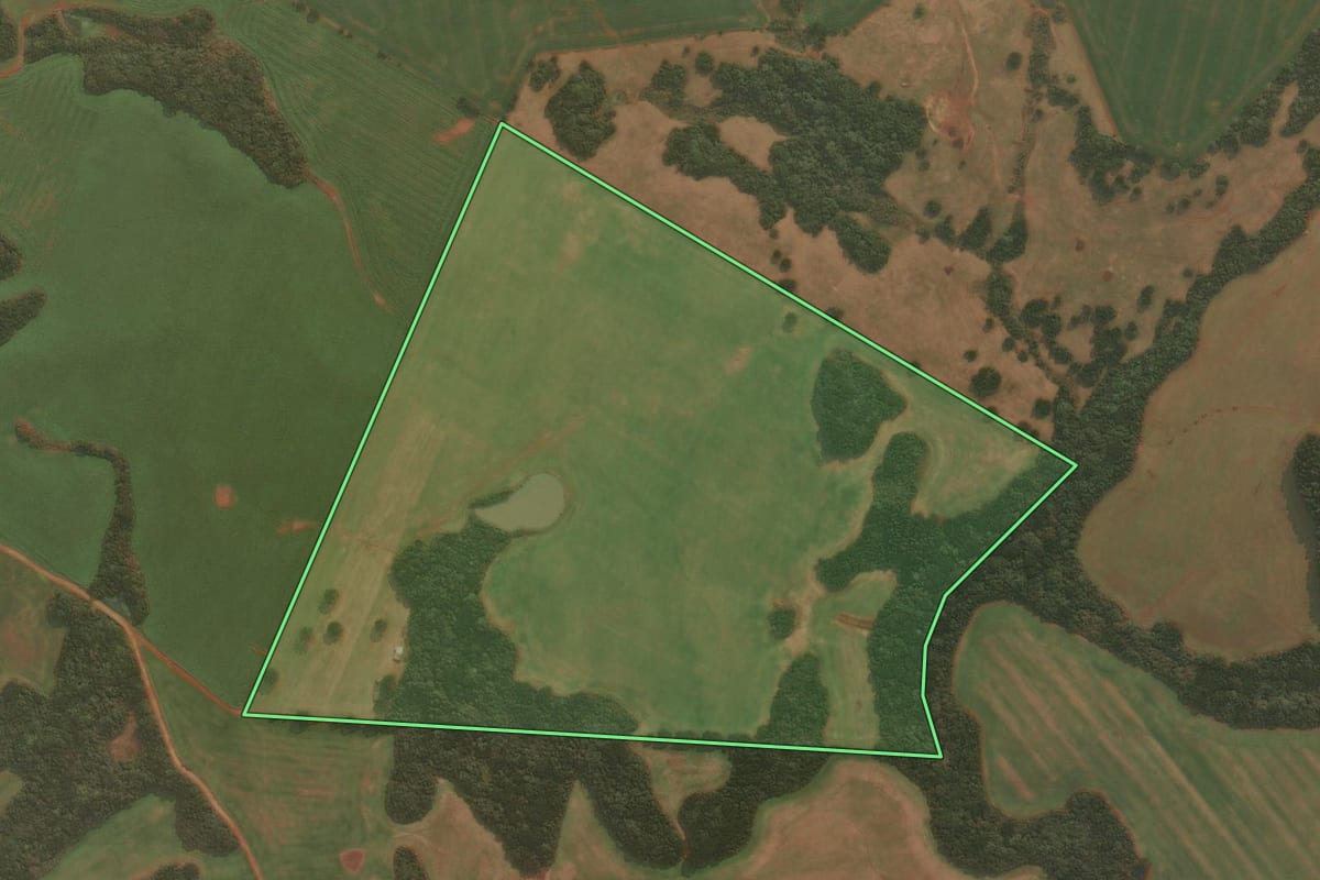 Imagem de satélite do imóvel rural em Muitos Capões (RS), com o contorno declarado no CAR desenhado por cima.
