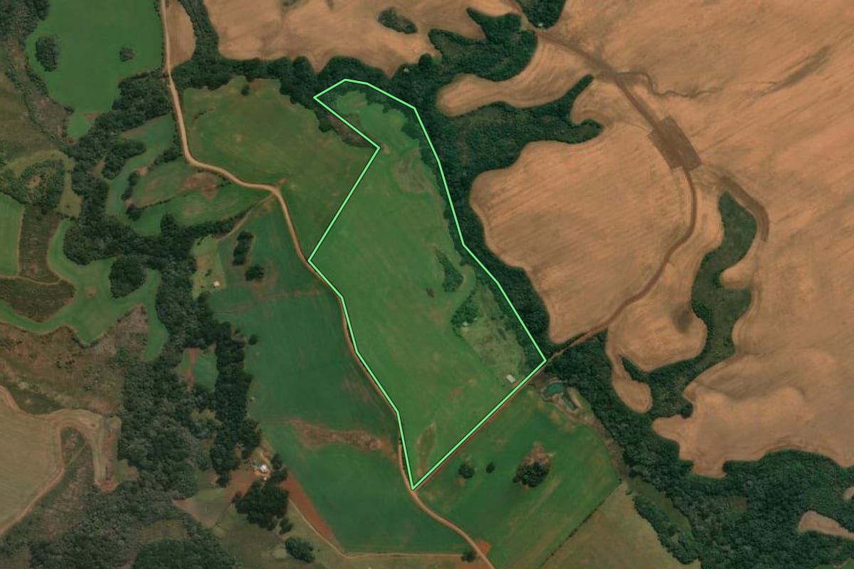 Imagem de satélite do imóvel rural em Muitos Capões (RS), com o contorno declarado no CAR desenhado por cima.