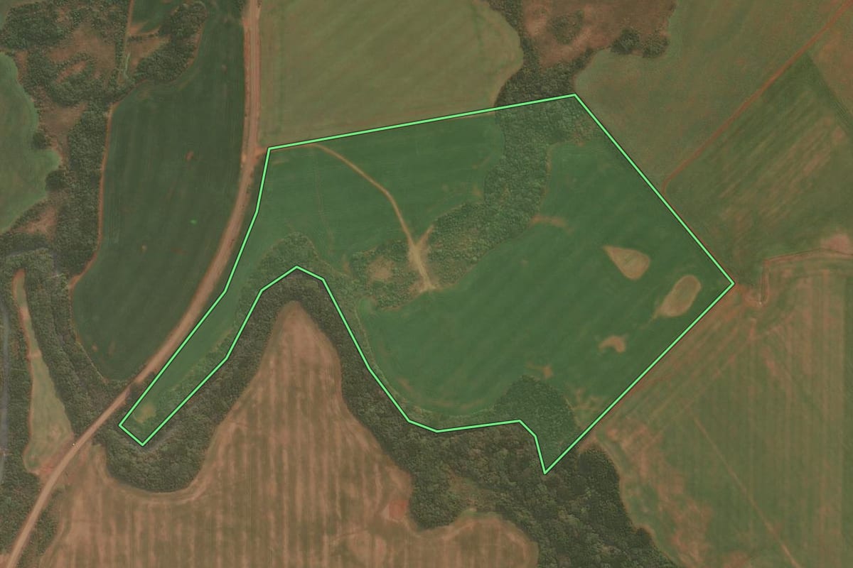 Imagem de satélite do imóvel rural em Muitos Capões (RS), com o contorno declarado no CAR desenhado por cima.