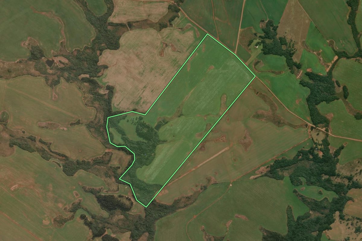 Imagem de satélite do imóvel rural em Muitos Capões (RS), com o contorno declarado no CAR desenhado por cima.