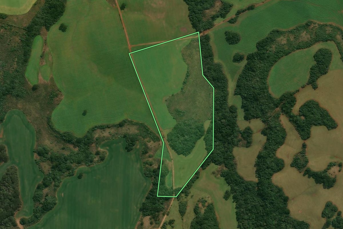 Imagem de satélite do imóvel rural em Muitos Capões (RS), com o contorno declarado no CAR desenhado por cima.
