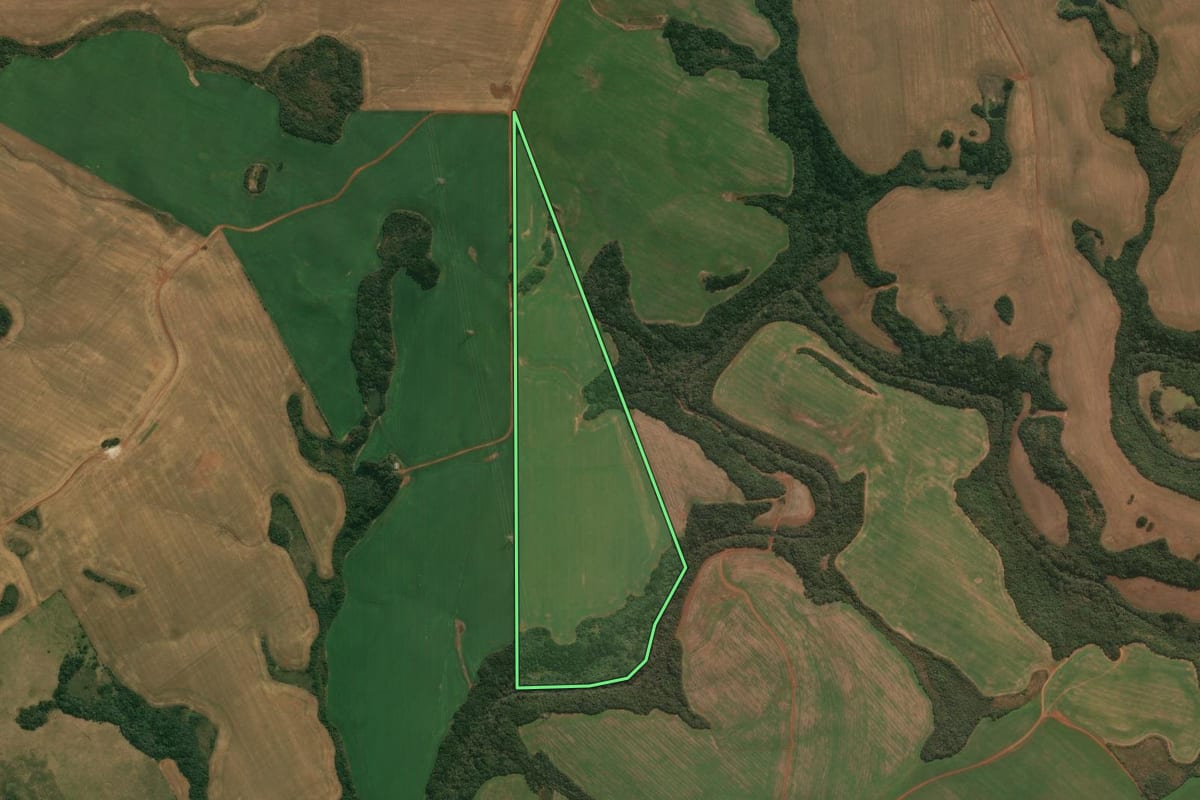 Imagem de satélite do imóvel rural em Muitos Capões (RS), com o contorno declarado no CAR desenhado por cima.