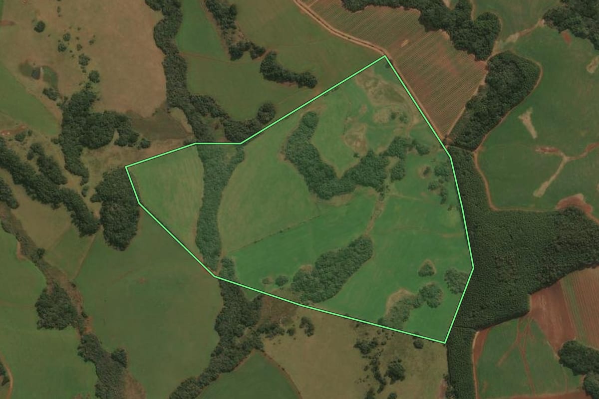 Imagem de satélite do imóvel rural em Muitos Capões (RS), com o contorno declarado no CAR desenhado por cima.