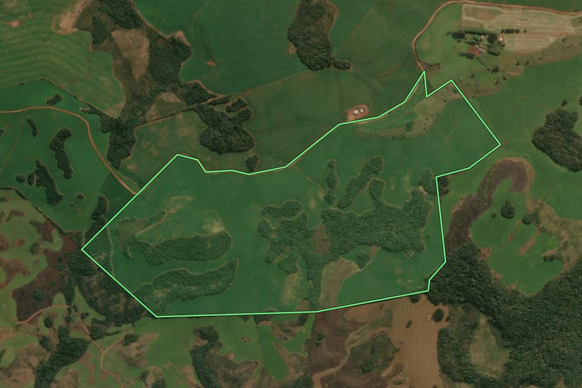 Imagem de satélite do imóvel rural em Muitos Capões (RS), com o contorno declarado no CAR desenhado por cima.
