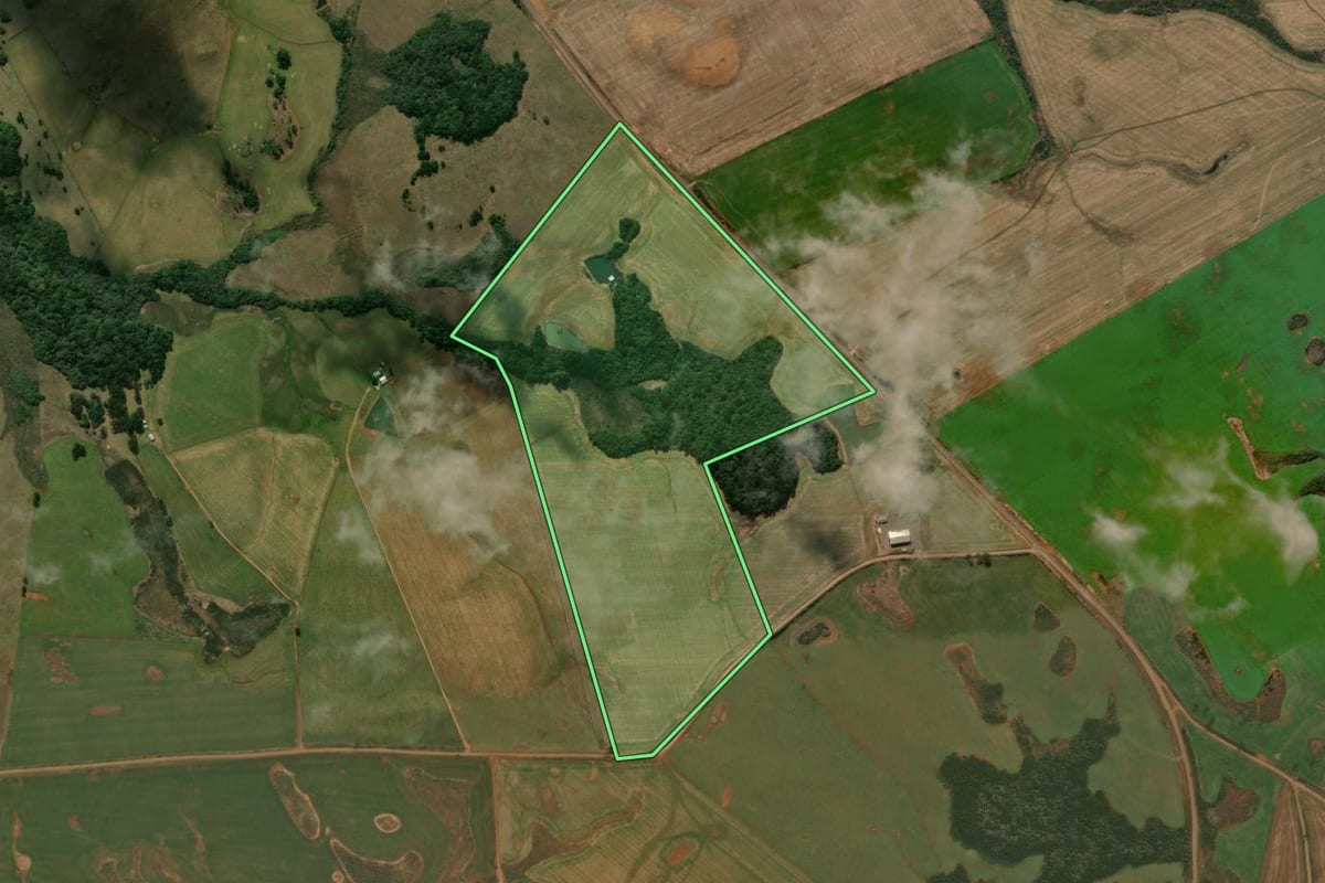 Imagem de satélite do imóvel rural em Muitos Capões (RS), com o contorno declarado no CAR desenhado por cima.