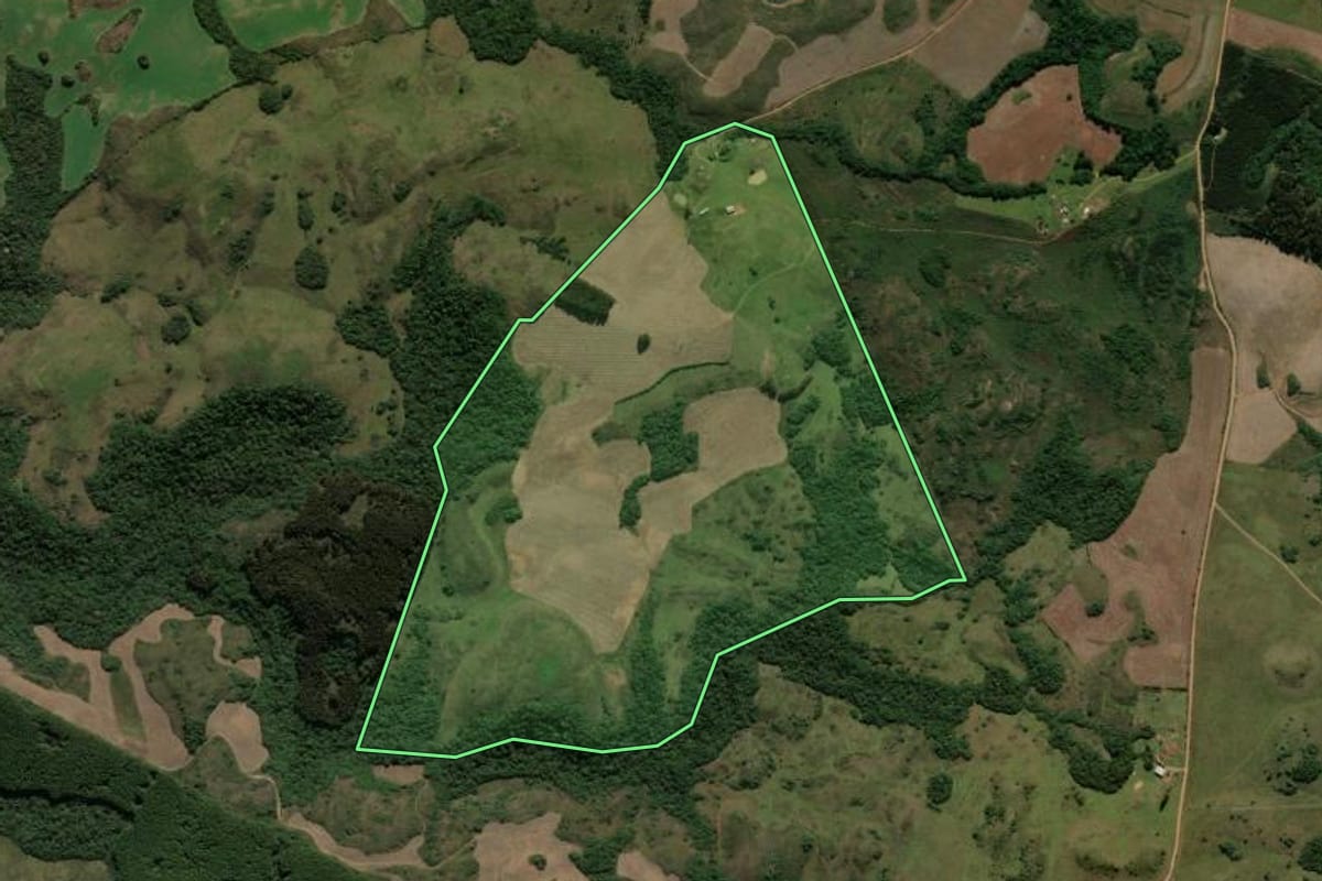 Imagem de satélite do imóvel rural em Muitos Capões (RS), com o contorno declarado no CAR desenhado por cima.