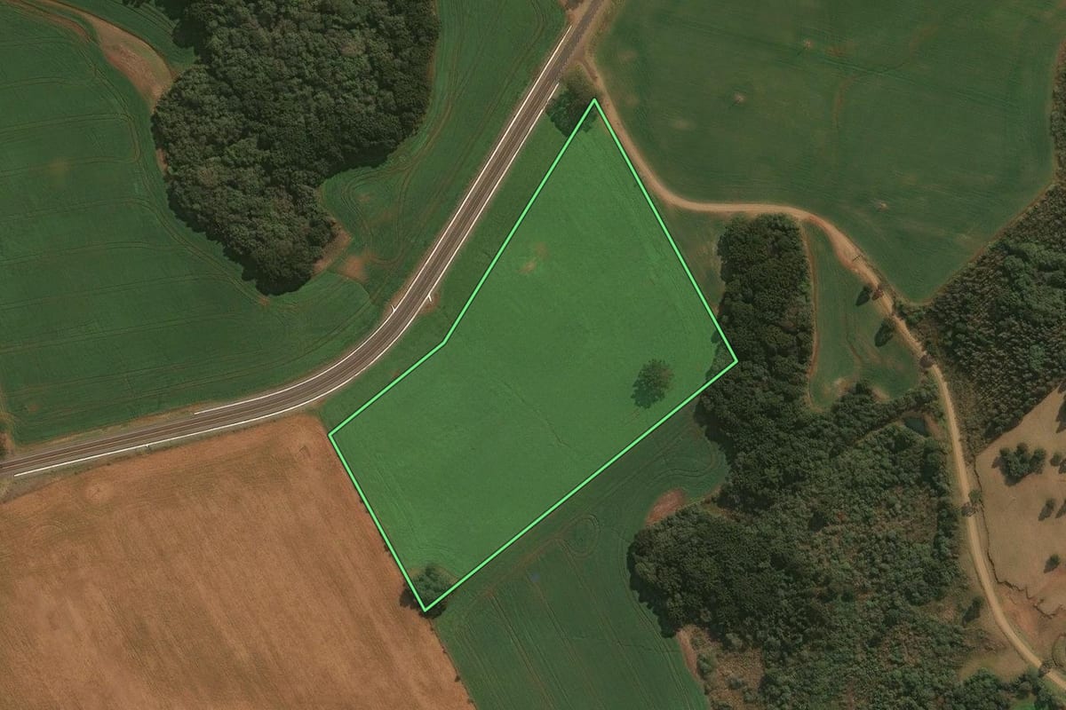 Imagem de satélite do imóvel rural em Muitos Capões (RS), com o contorno declarado no CAR desenhado por cima.