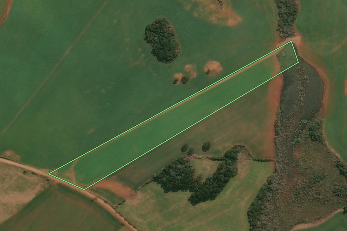 Imagem de satélite do imóvel rural em Muitos Capões (RS), com o contorno declarado no CAR desenhado por cima.